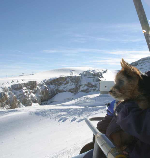 Glacier 3000, das erste mal im Schnee