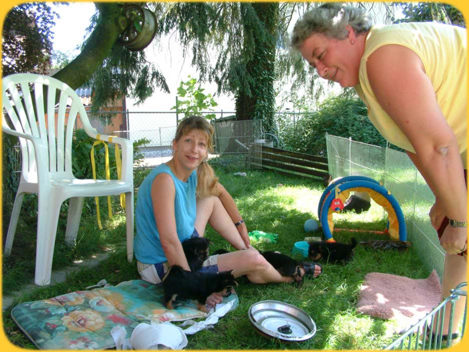 Welpenspielplatz im Garten