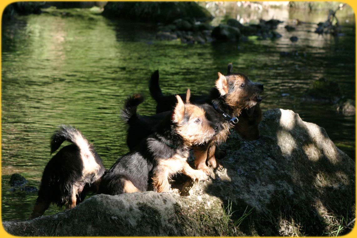 Meine Geschwister am Bach