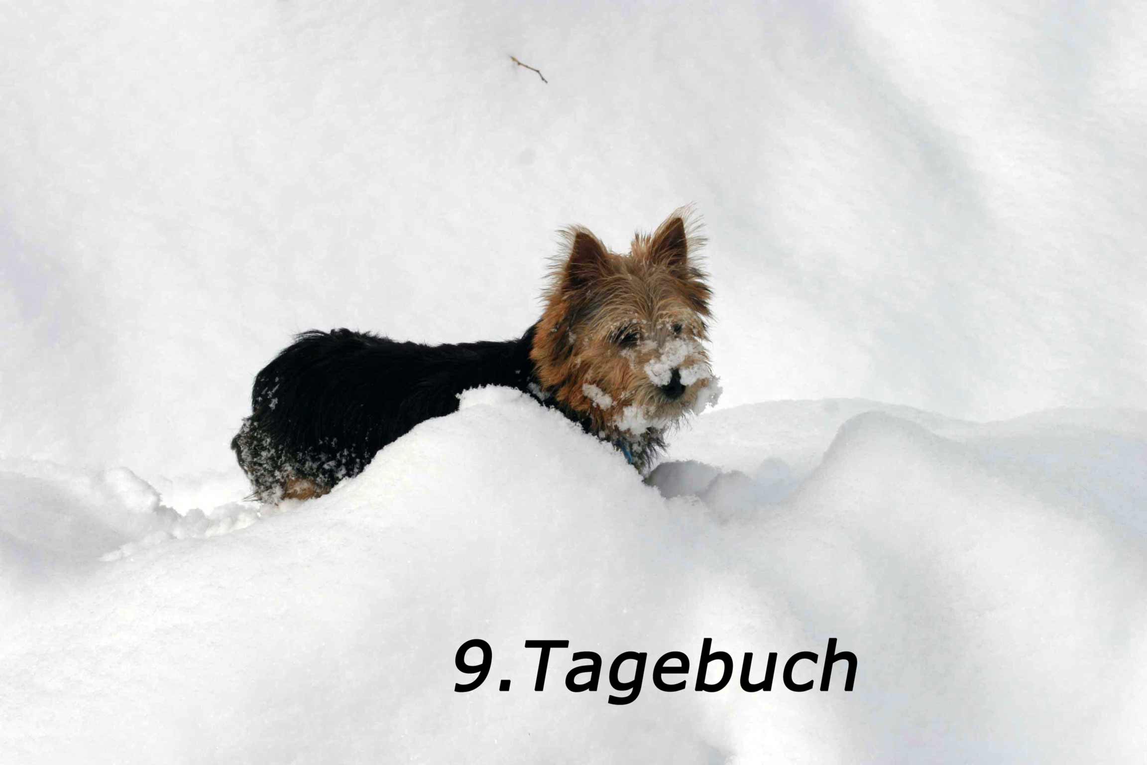 Inuk im Schnee