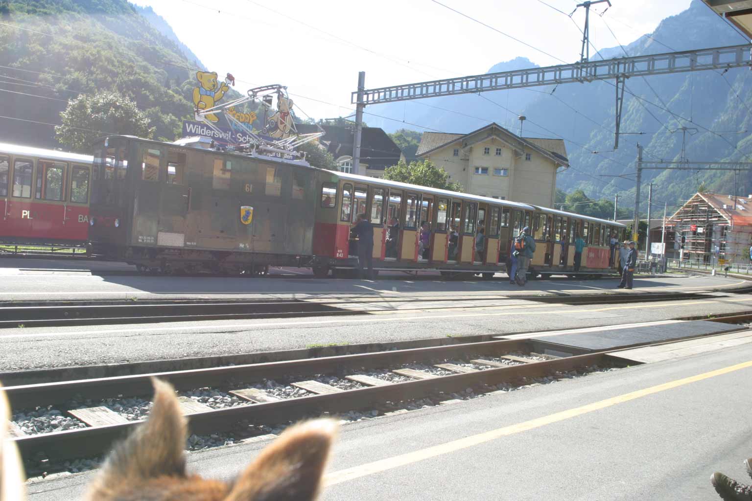 Zahnradbahn auf die Schynige Platte, kein Problem für mich