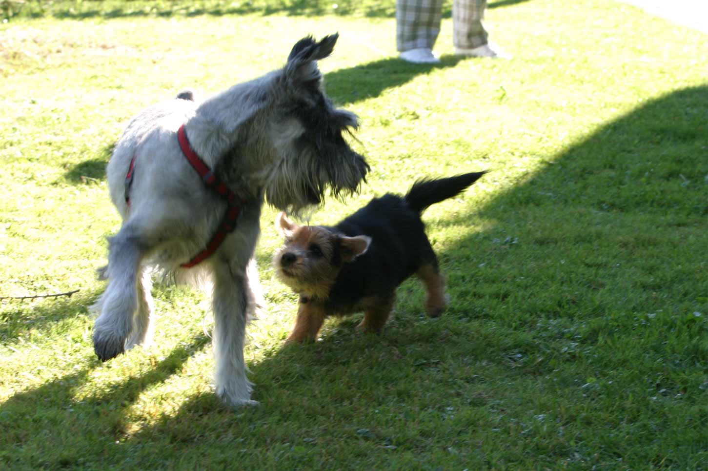 Inuk und Lisa am spielen