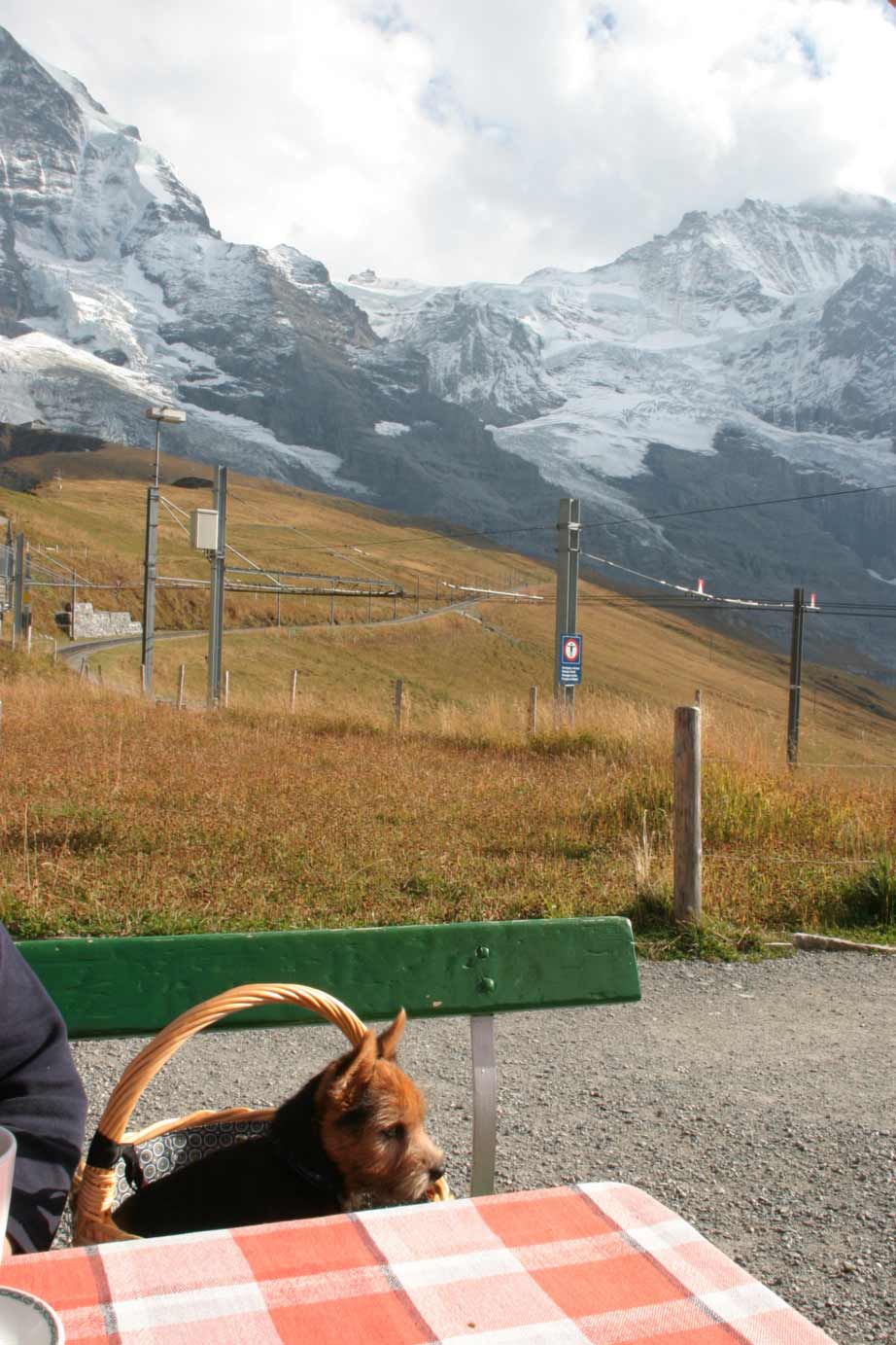 auf der kleinen Scheidegg