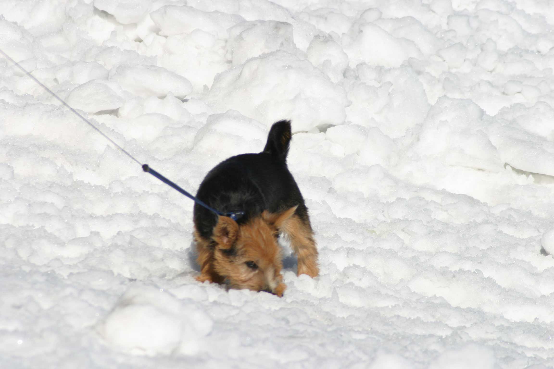 erste Bekanntschaft mit Schnee