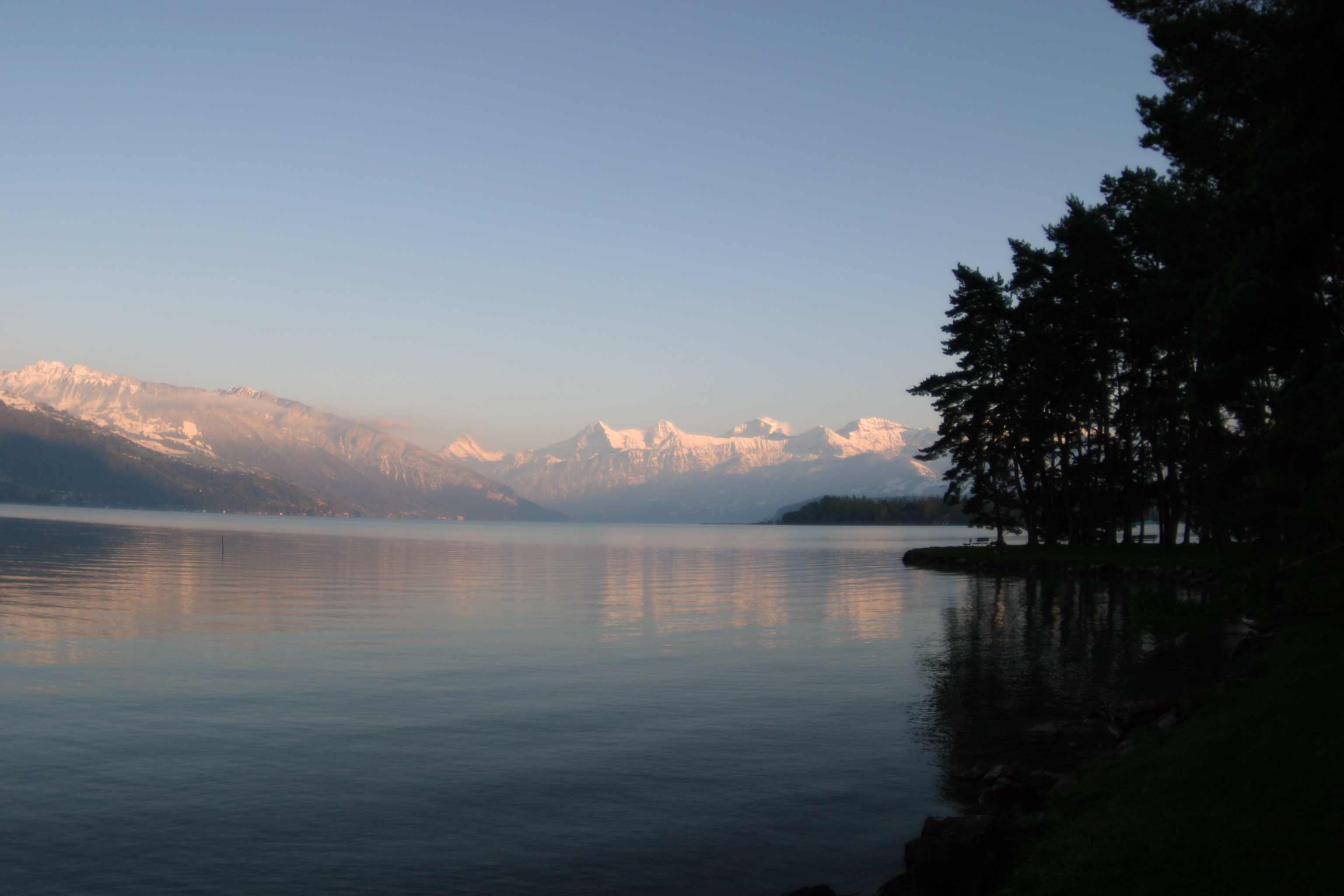 Aussicht am Thunersee