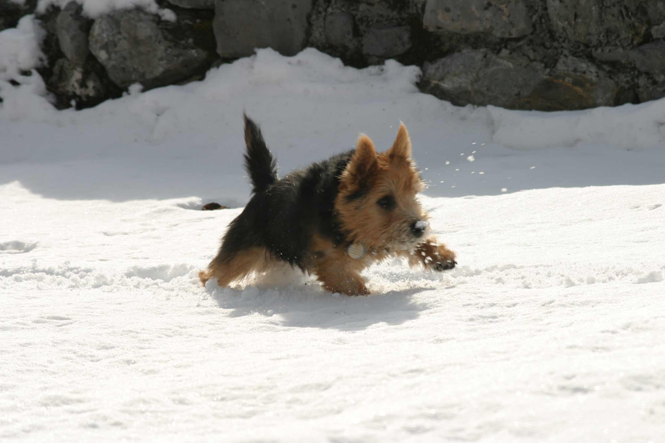 das war doch Tiefschnee für mich