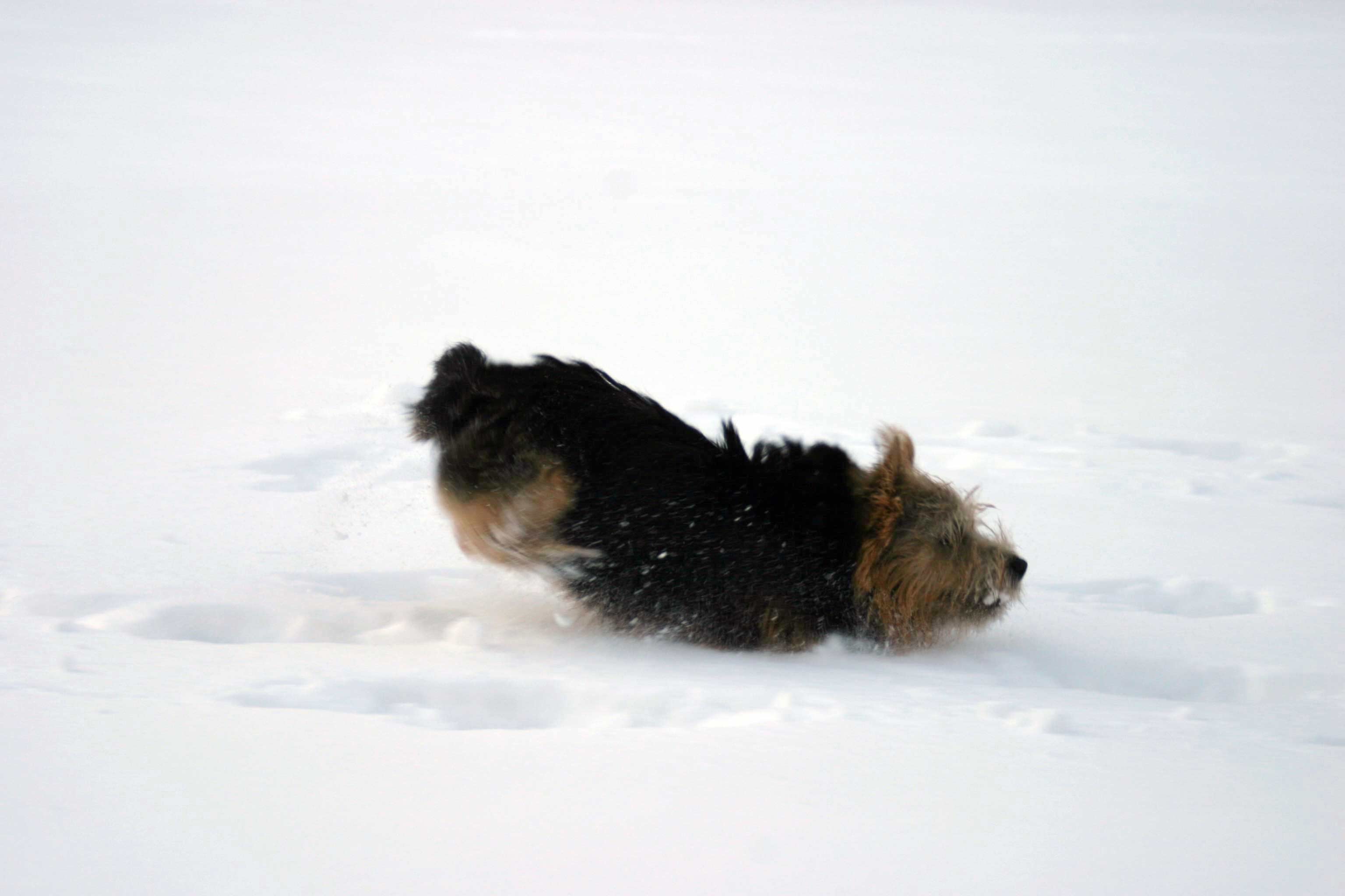 Landung im Schnee