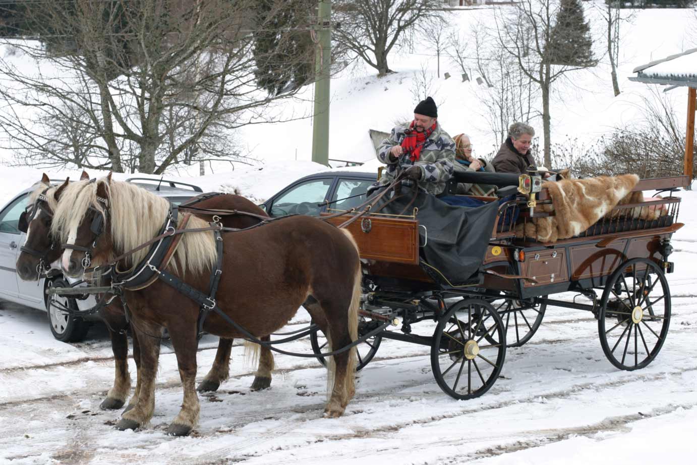 Kutschenfahrt im Schwarzwald